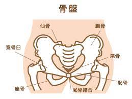 f:id:eikatsu-baske:20220304135531j:plain