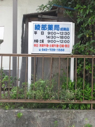 イメージ 4