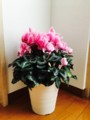 20170105112559