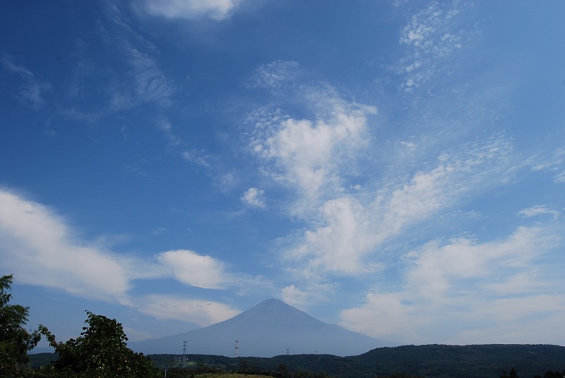 イメージ 3