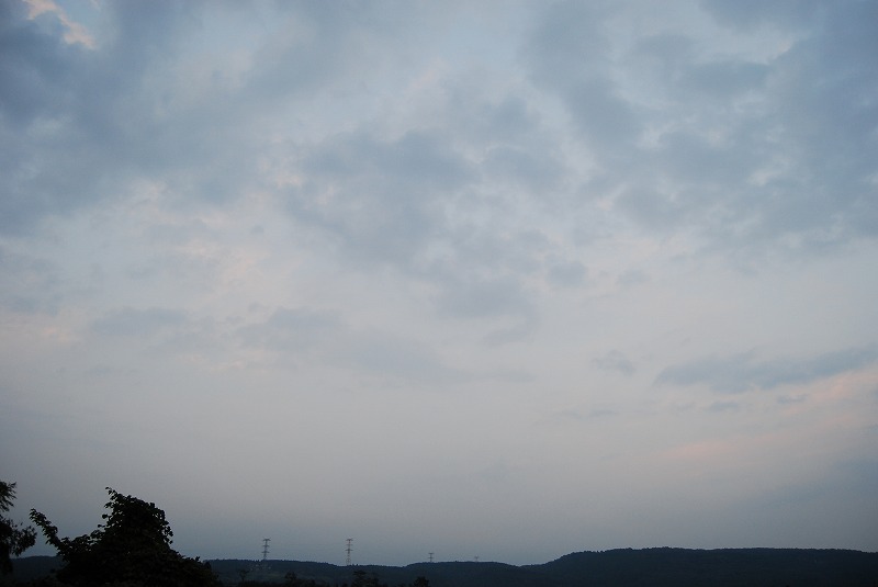 イメージ 10