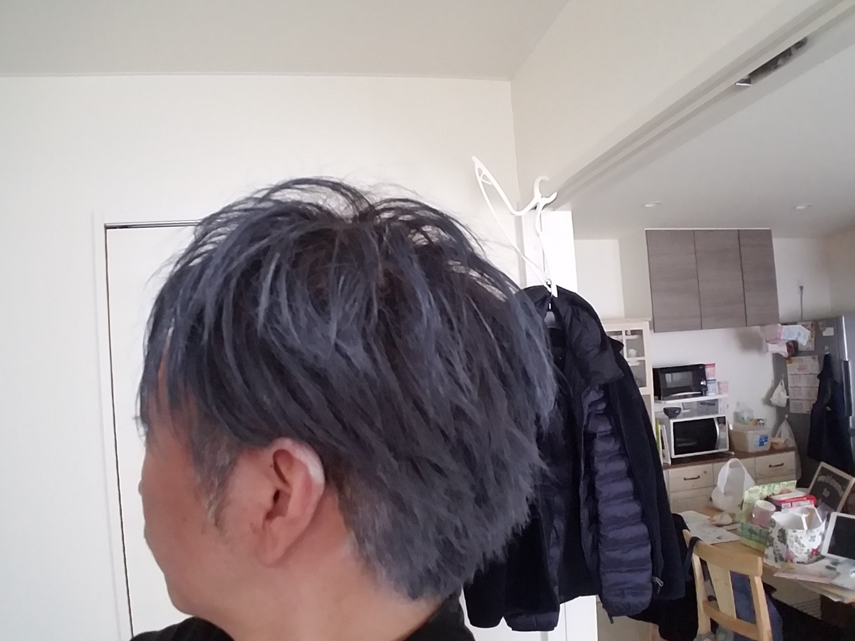 f:id:eikungotyamaze:20200214165751j:plain