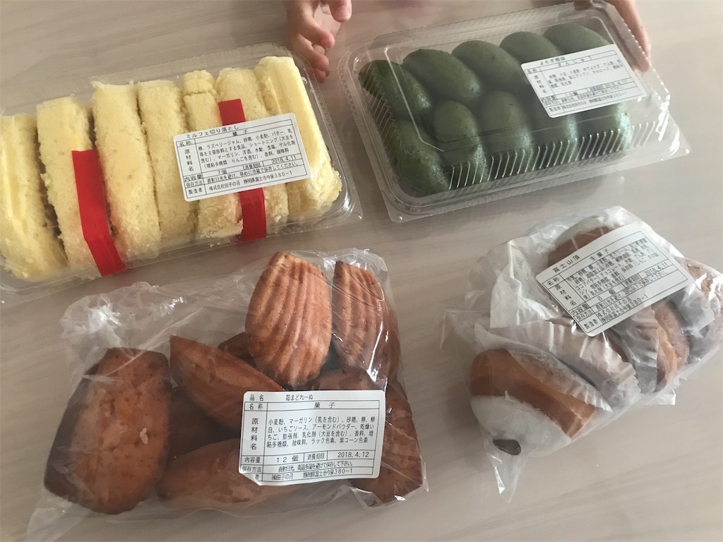 活動歴および当時の関連ビジュアル記録