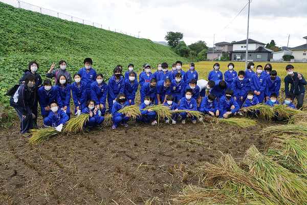 f:id:einoukun:20201006193615j:plain