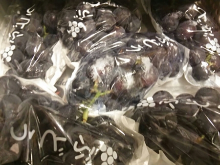 f:id:eio:20160908183041j:plain f:id:eio:20160908183041j:plain