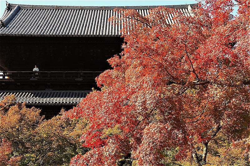 f:id:eiri0557:20191214141339j:plain