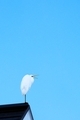 20260225154831