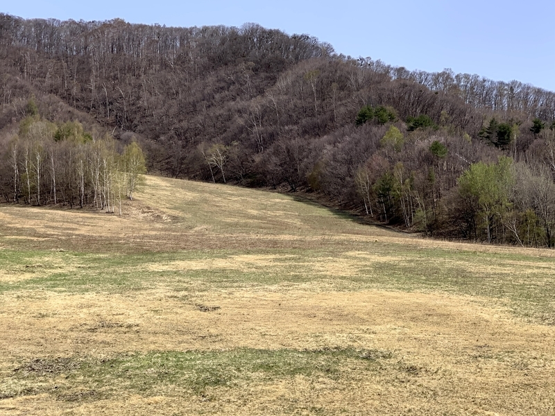 f:id:eisomi:20210610065410j:plain