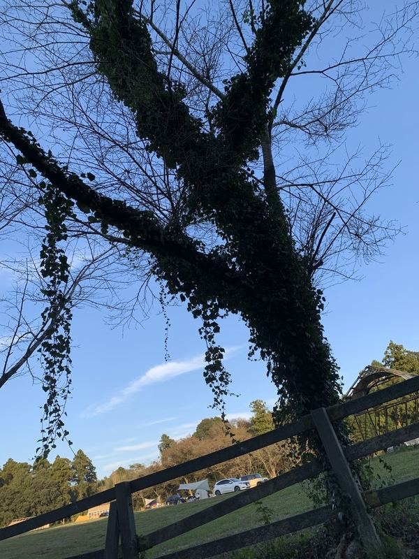 f:id:eisomi:20211028093940j:plain