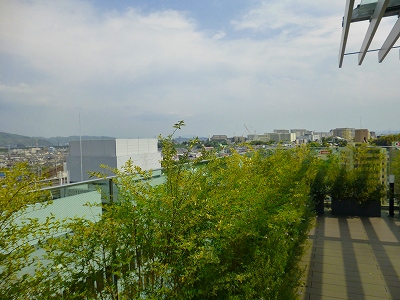 f:id:eisuumanabu:20170513091358j:image:w360