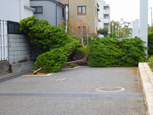f:id:eisuumanabu:20171027215836j:image:w640