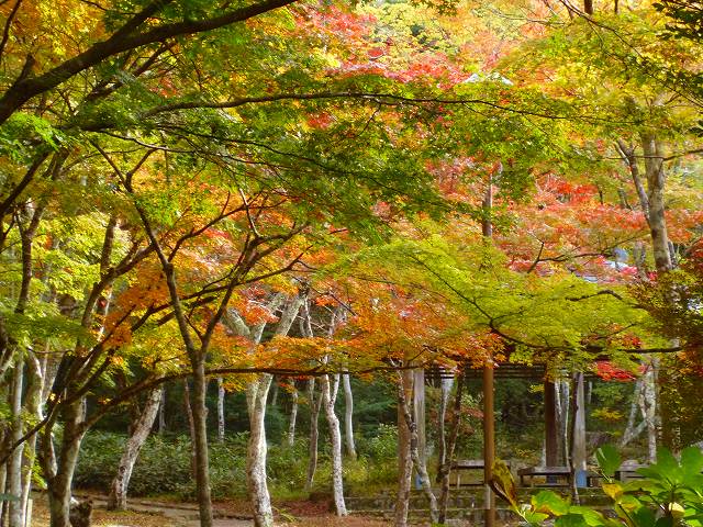 f:id:eisuumanabu:20211121164729j:plain