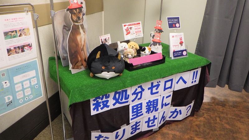 最後の還元 花と実の会 買ったもの 株主優待最終感謝セール レナウン 日々飽食 Next