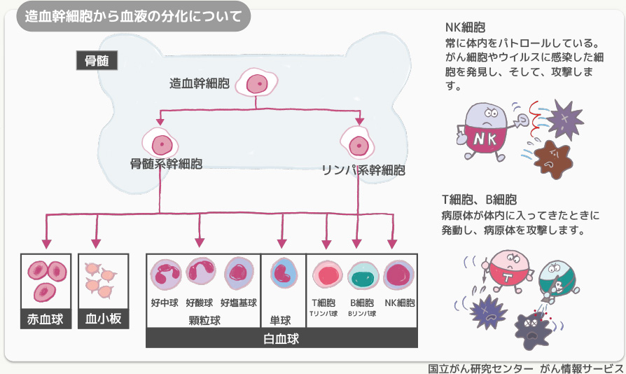 f:id:eityun:20220115015520j:plain
