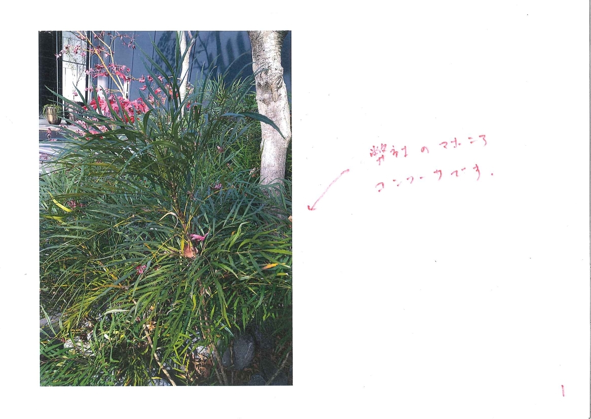f:id:eiwa-garden:20201228174625j:plain