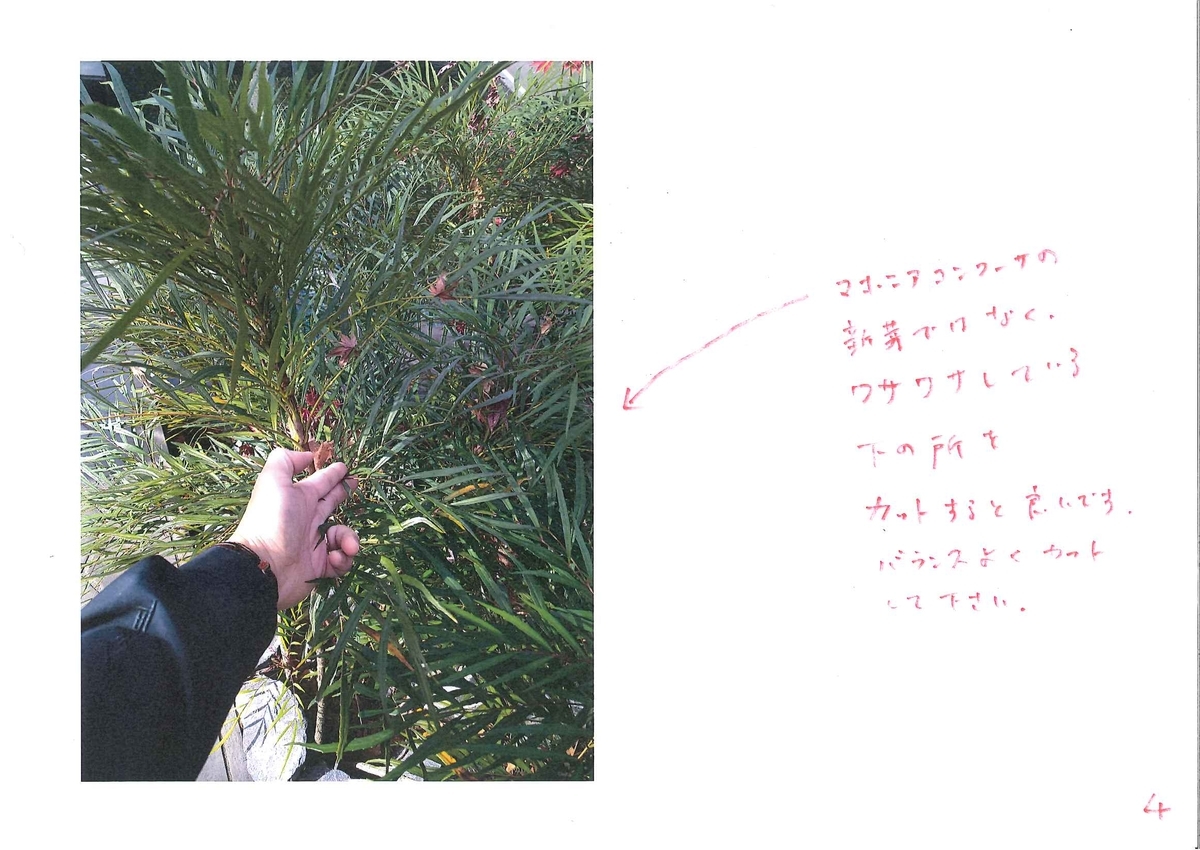 f:id:eiwa-garden:20201228174857j:plain