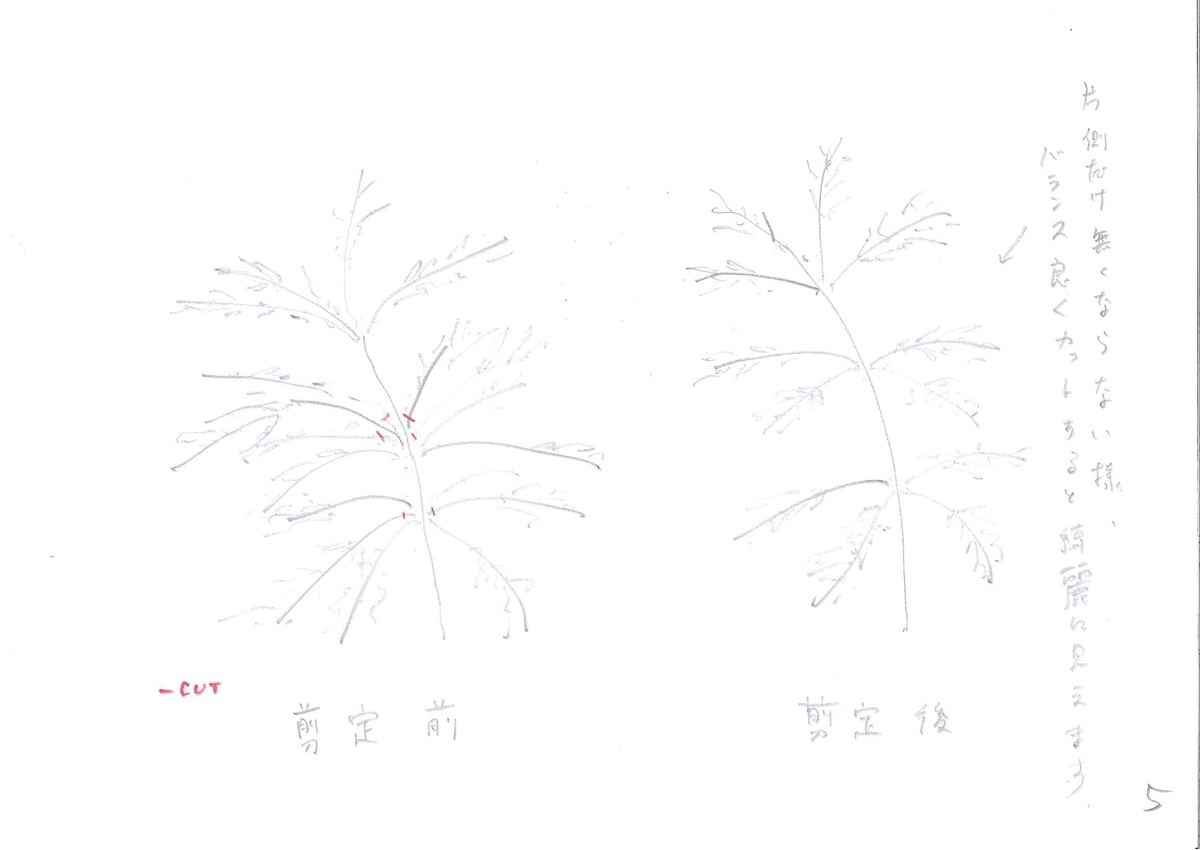f:id:eiwa-garden:20201228174931j:plain