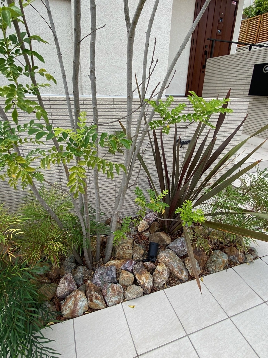 f:id:eiwa-garden:20210522175401j:plain