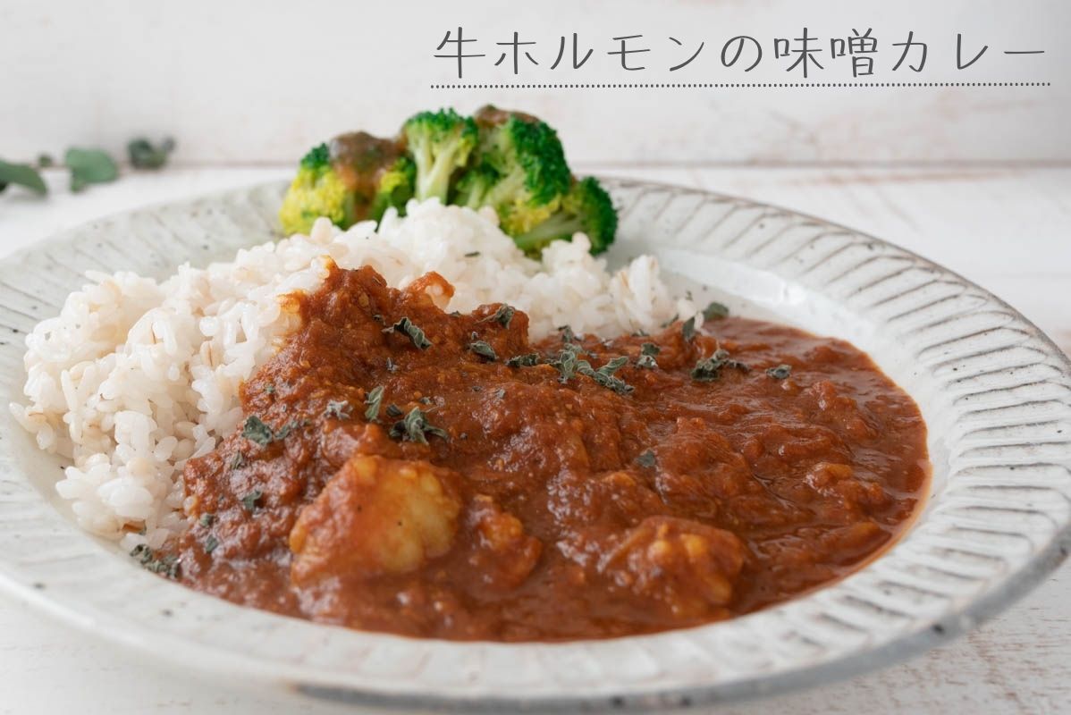 スパイスカレー　牛ホルモン　味噌カレー