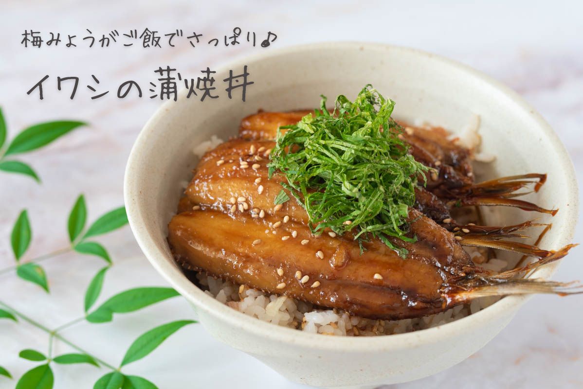 イワシの蒲焼丼　梅ご飯　みょうが　レシピ