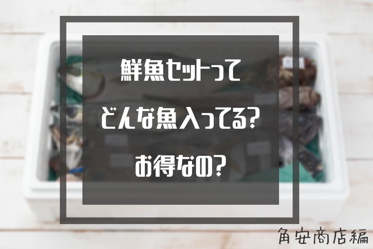 鮮魚セット　レビュー　口コミ　角安商店　魚　詰め合わせ　直送