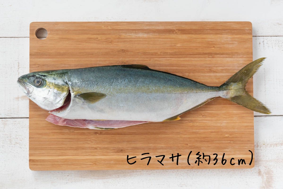 価格は安く 天然のいけす 富山湾氷見漁港水揚げ 旬の鮮魚セット 10000円