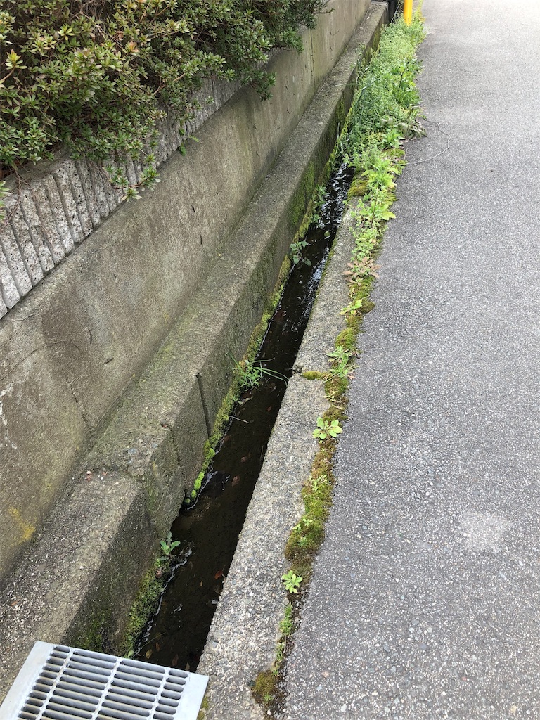 f:id:eiyu123:20190401185851j:image