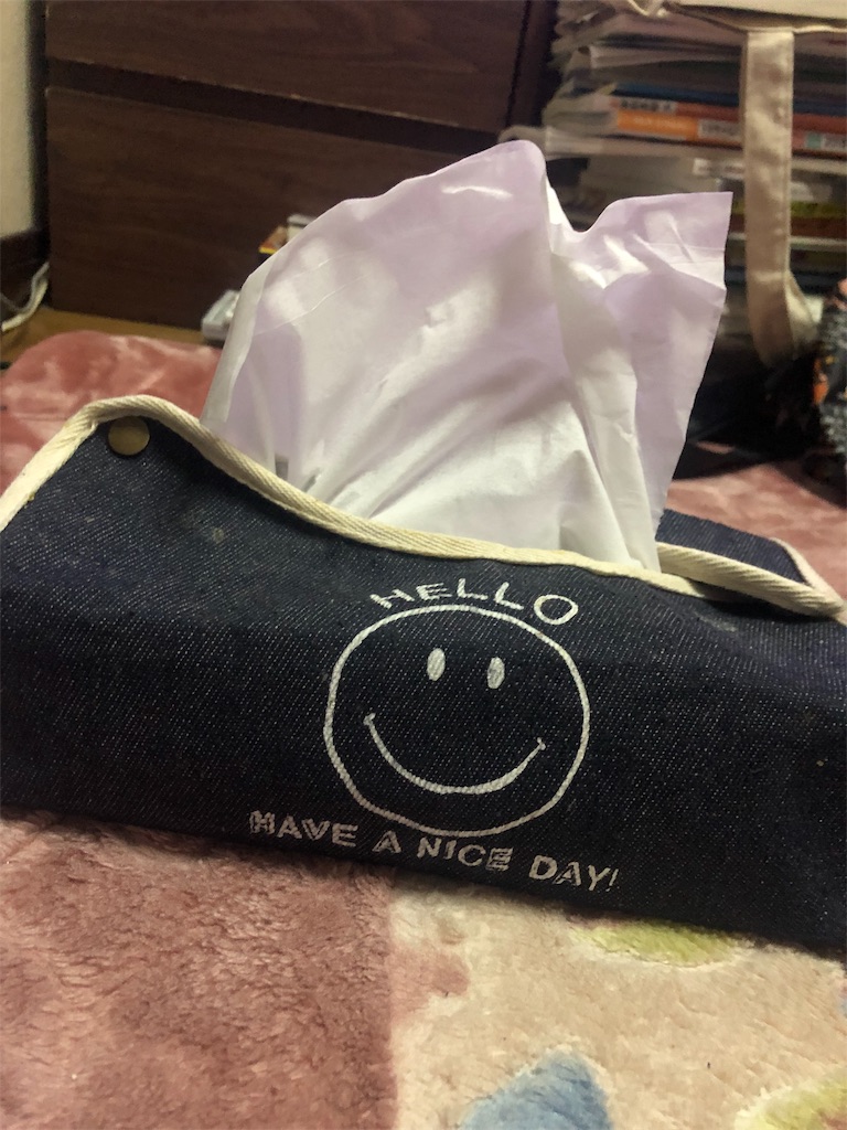 f:id:eiyu123:20190404214542j:image