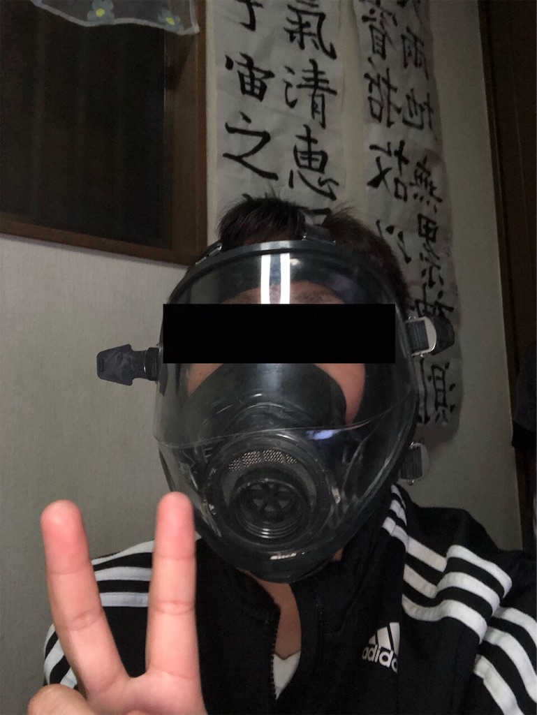 f:id:eiyu123:20190404215122j:image