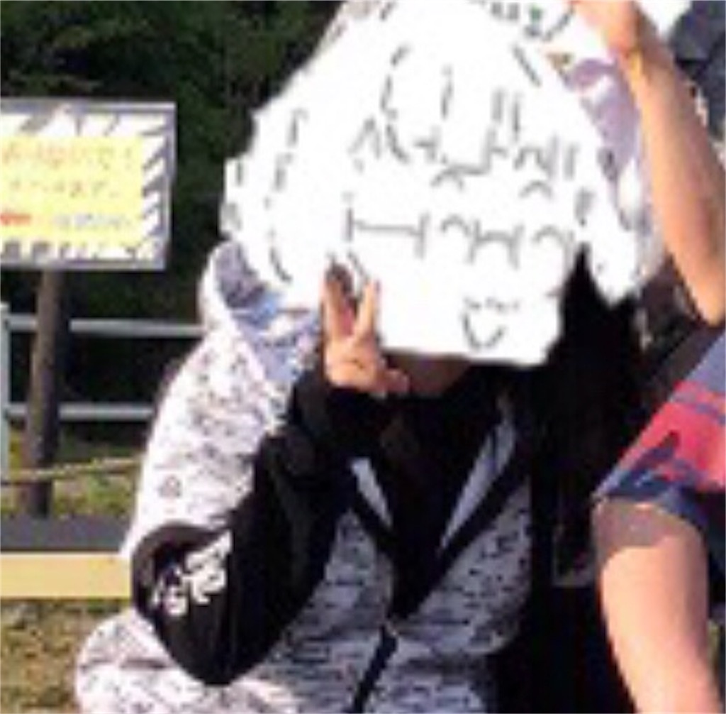 f:id:eiyu123:20190514190626j:image