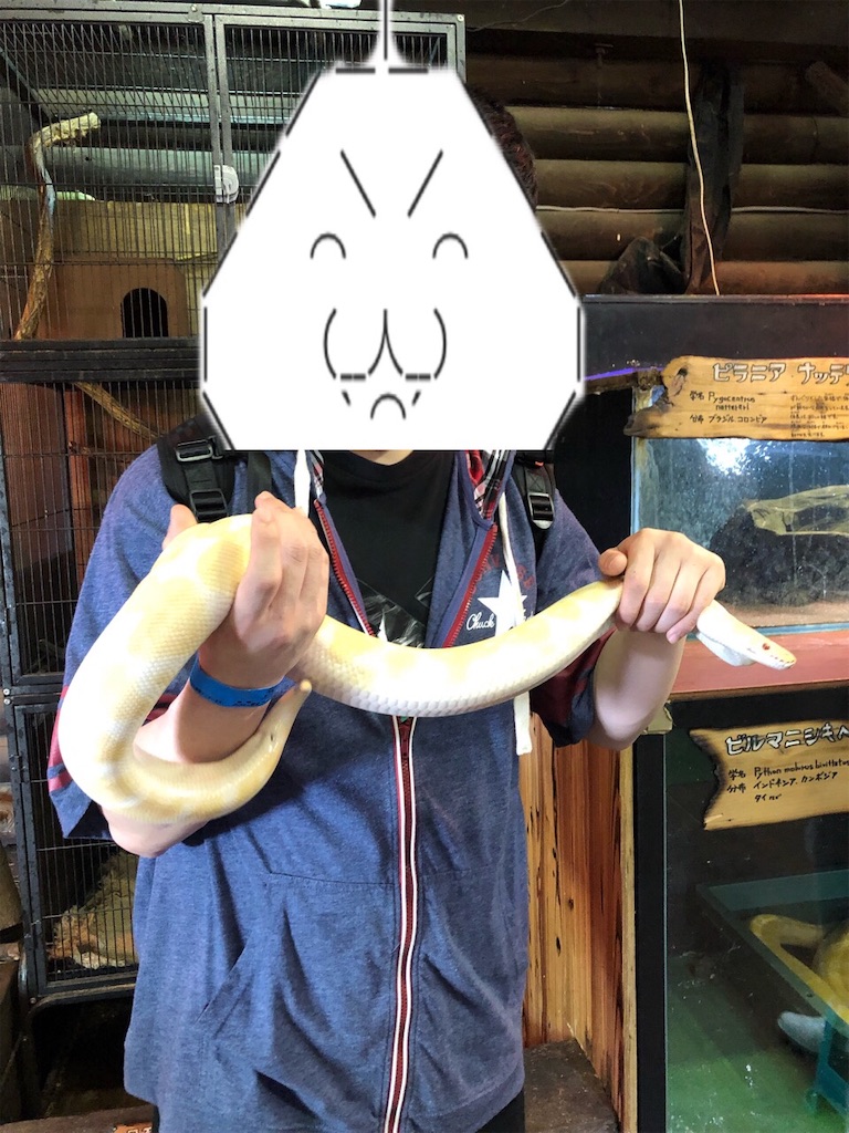 f:id:eiyu123:20190517000819j:image
