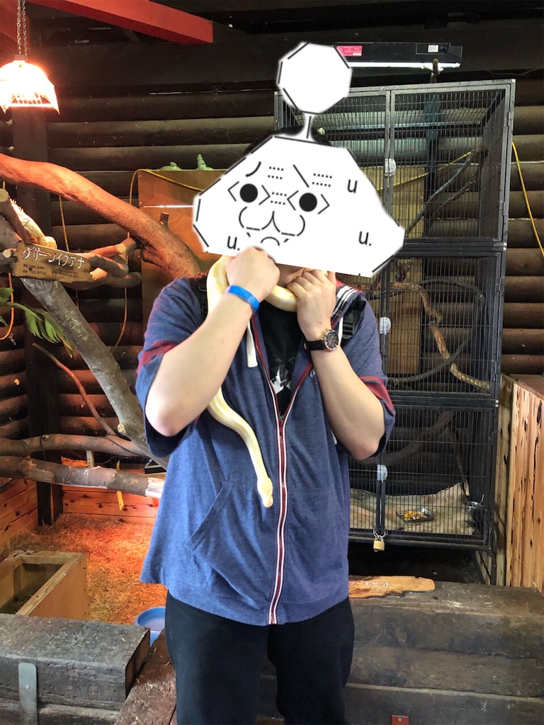 f:id:eiyu123:20190517001143j:image