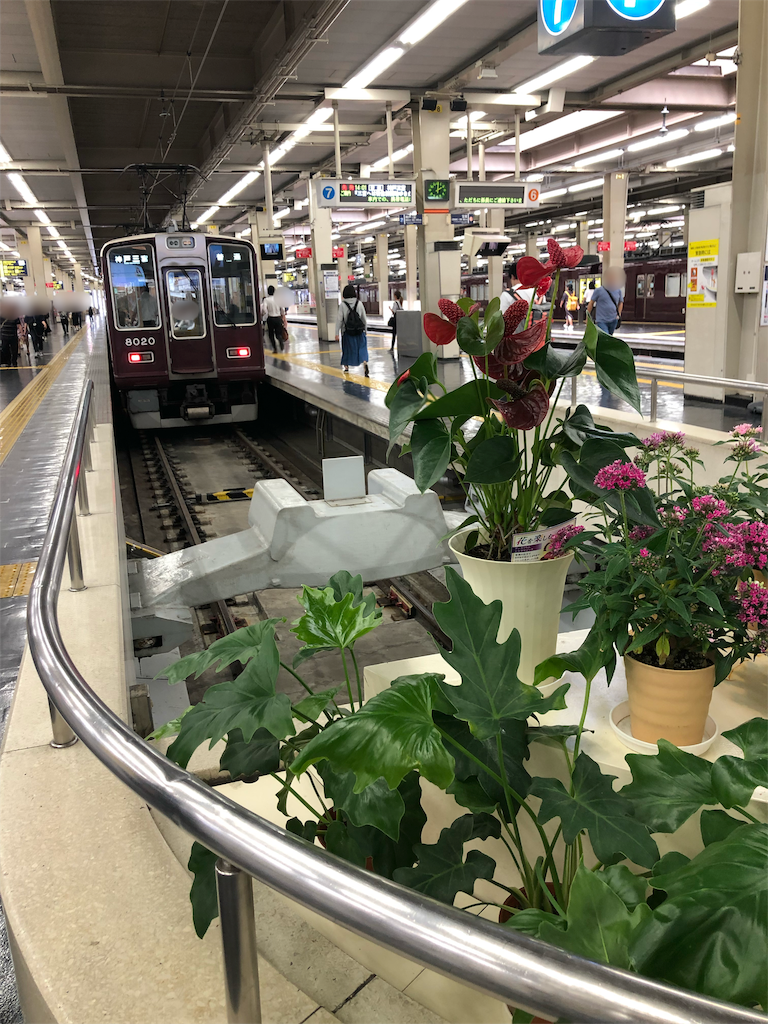 f:id:eiyu123:20190601194343p:image