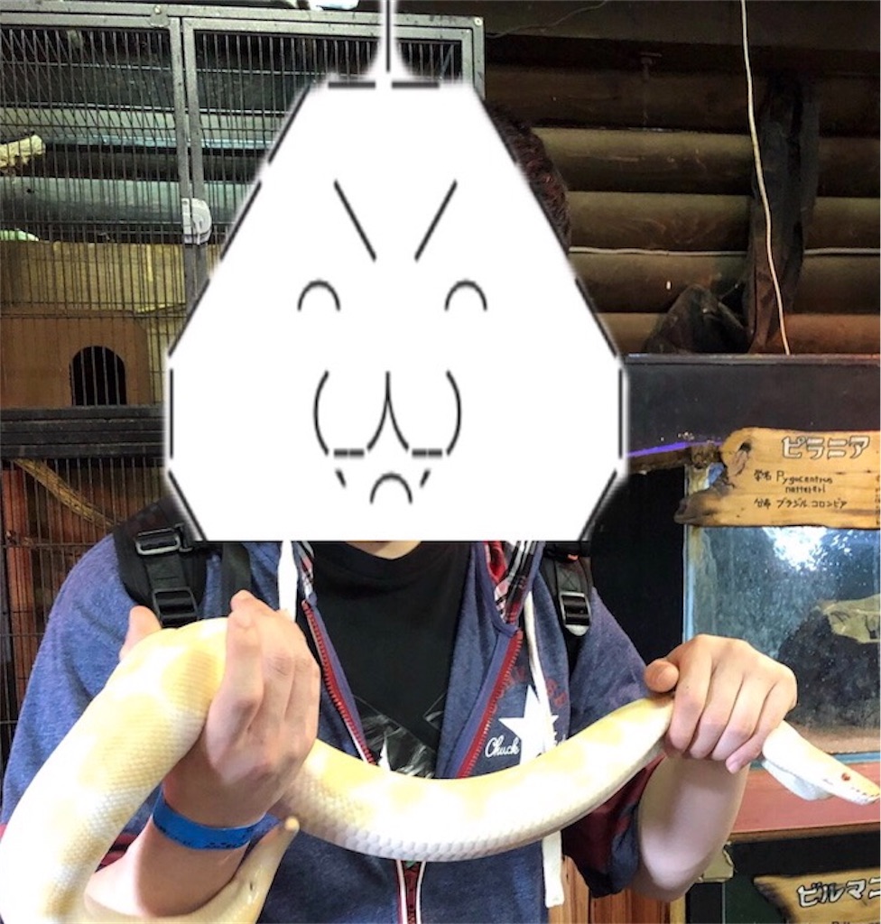 f:id:eiyu123:20190601202430j:image