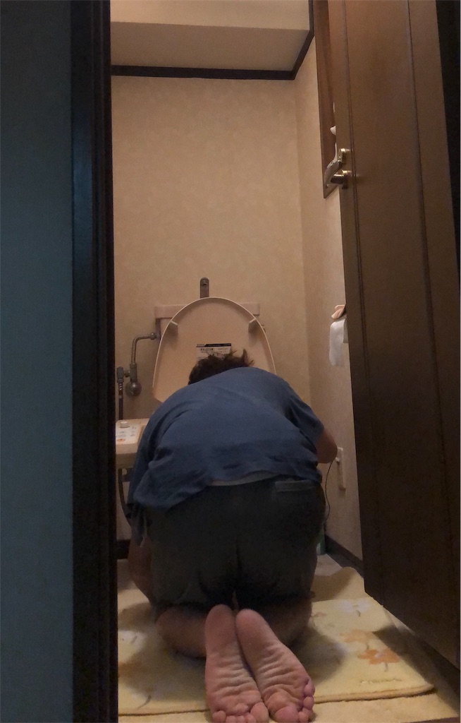 f:id:eiyu123:20190615213837j:image f:id:eiyu123:20190615213837j:image