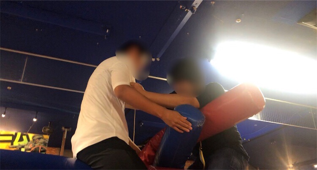 f:id:eiyu123:20190708233513j:image