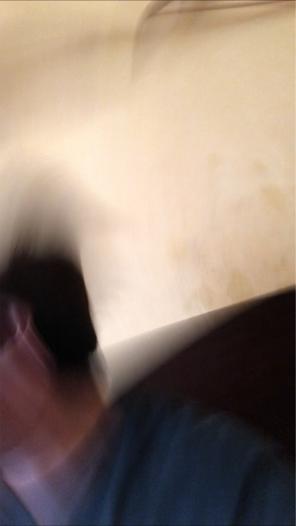 f:id:eiyu123:20190811230530p:image