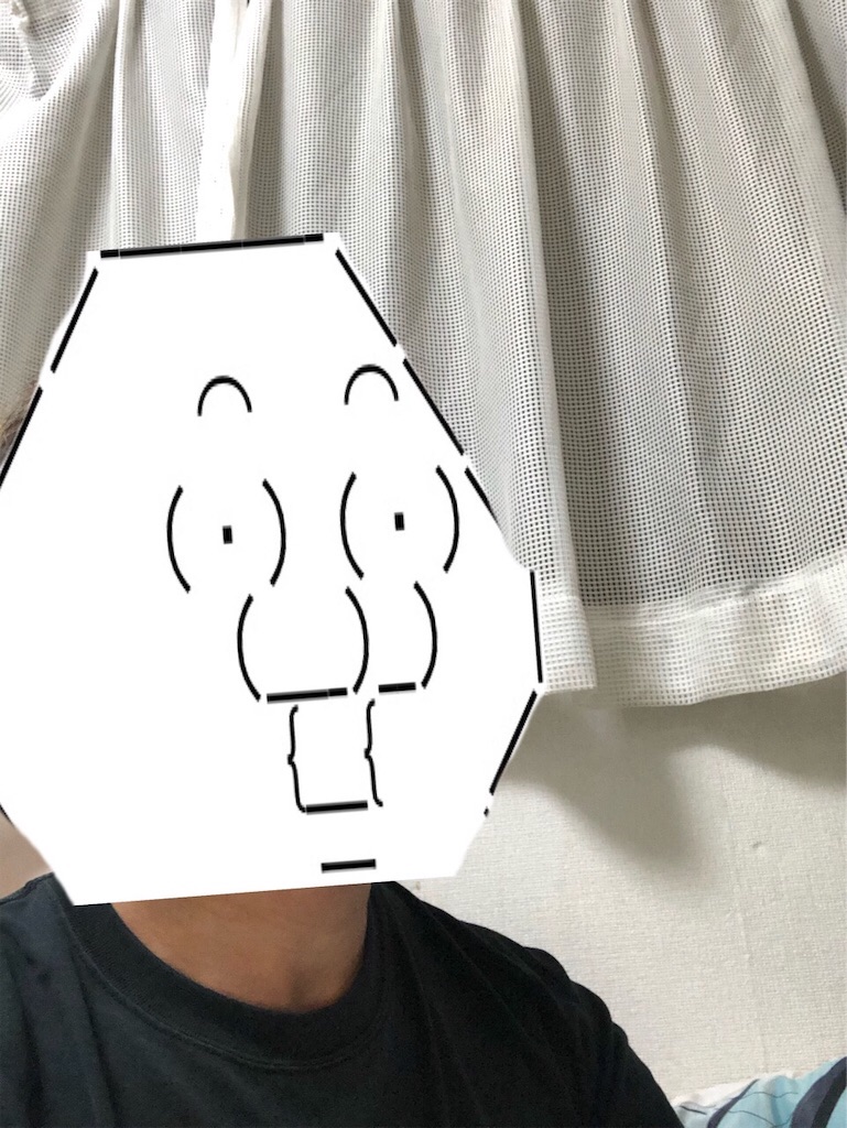 f:id:eiyu123:20191013004606j:image
