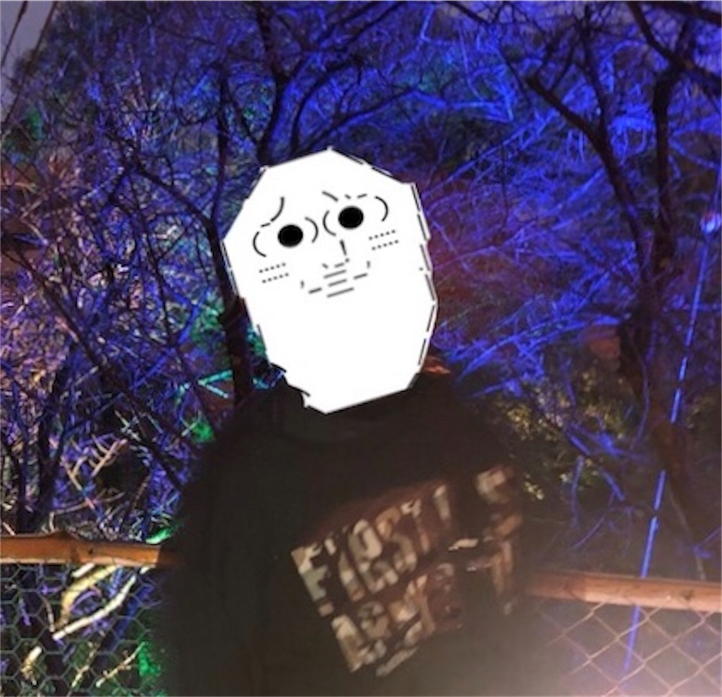 f:id:eiyu123:20200407204129j:image