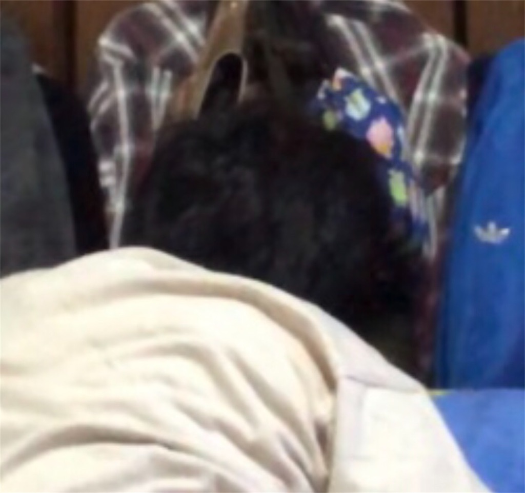 f:id:eiyu123:20200513234837j:image