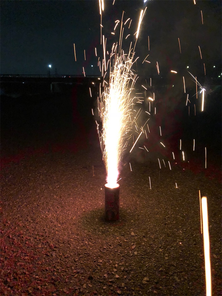 f:id:eiyu123:20200831231824j:image f:id:eiyu123:20200831231824j:image