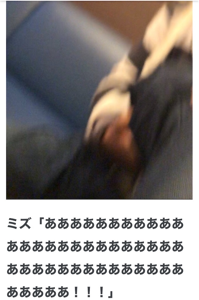 f:id:eiyu123:20201202221115j:image