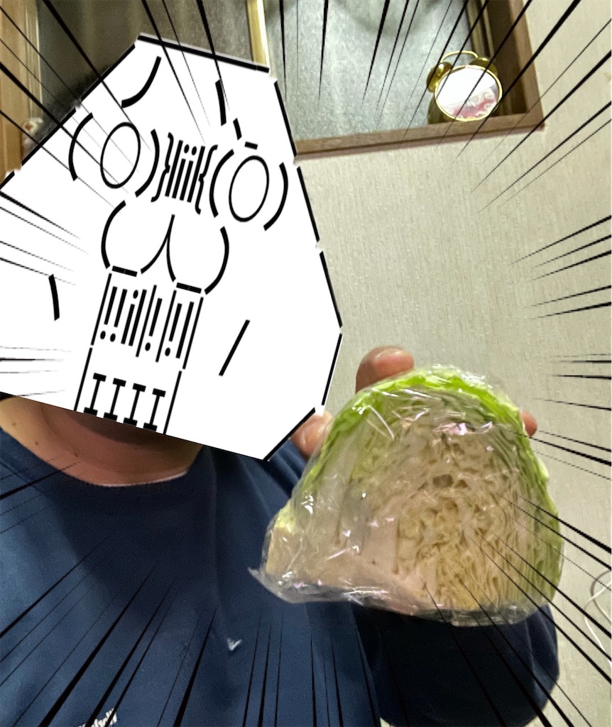 f:id:eiyu123:20210120230312j:image
