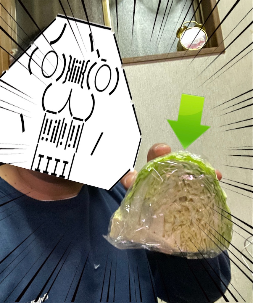 f:id:eiyu123:20210120230610j:image