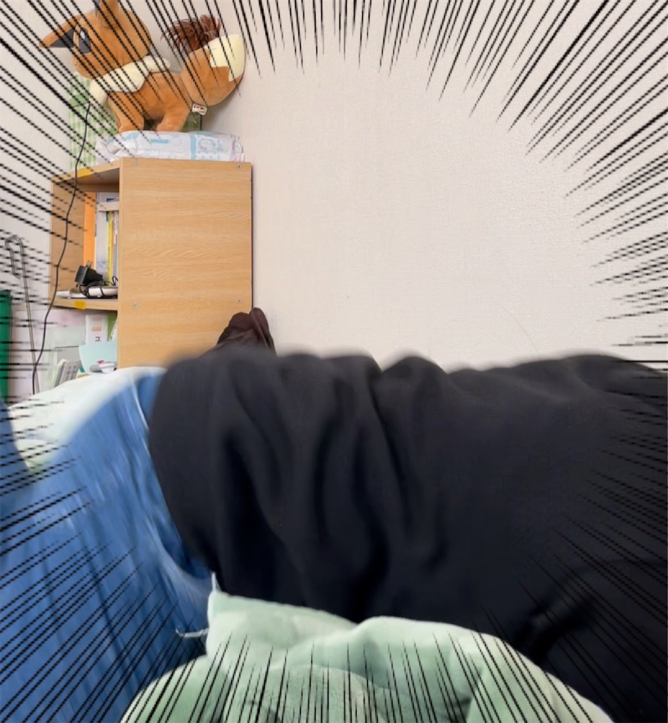 f:id:eiyu123:20210213235212j:image
