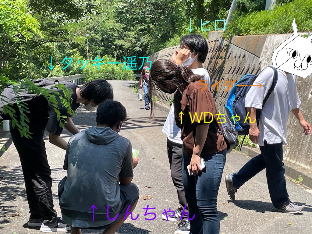 f:id:eiyu123:20211017233819j:image