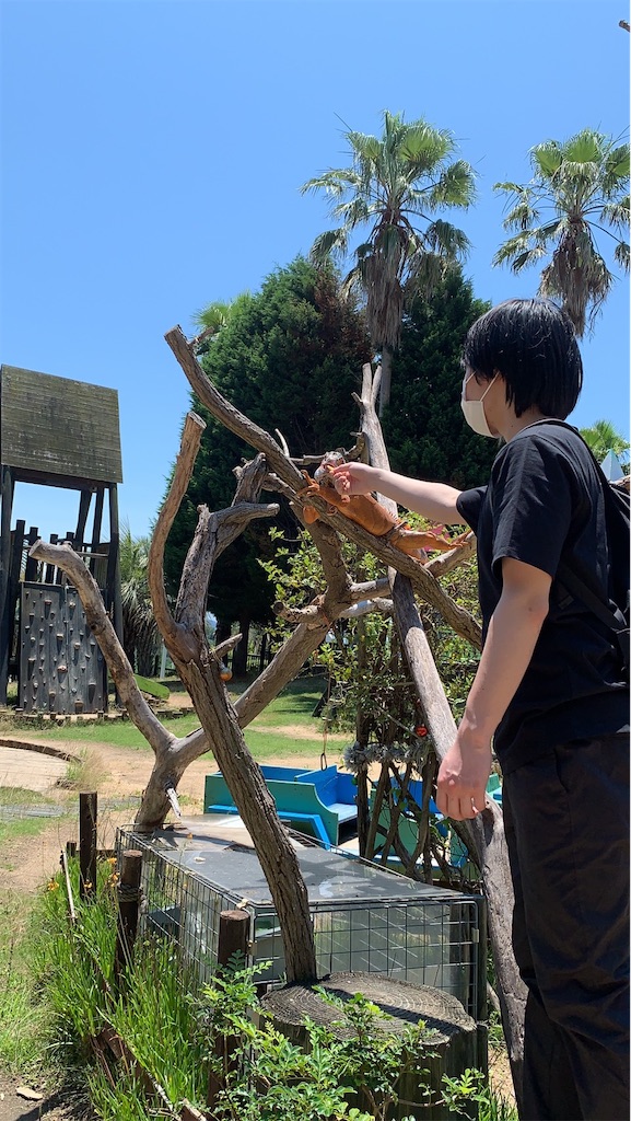 f:id:eiyu123:20211129224258j:image