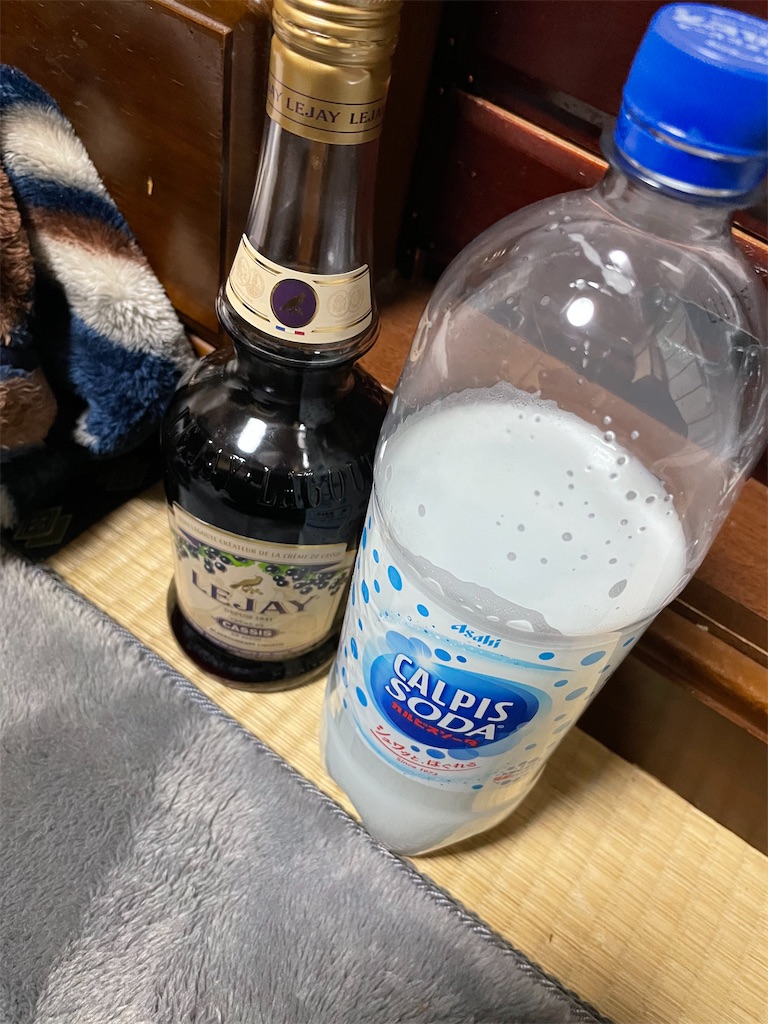 f:id:eiyu123:20220102233440j:image
