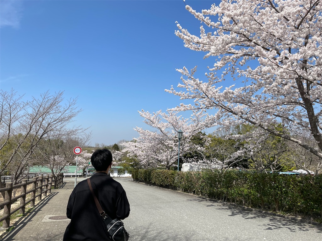 f:id:eiyu123:20220406235123j:image