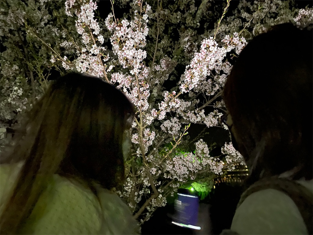 f:id:eiyu123:20220721211156j:image